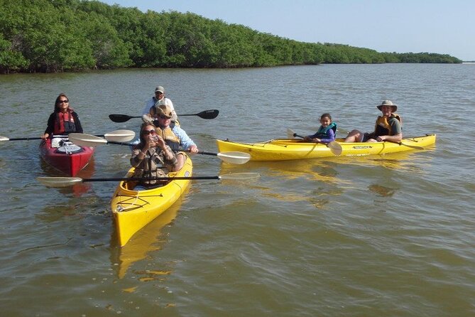 Small-Group Everglades Boating Kayaking and Walking Eco Tour - Chokoloskee meeting point: quick start, easy end
