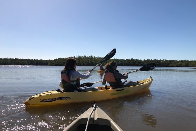 Small-Group Everglades Boating Kayaking and Walking Eco Tour - Barrier island walking: birds, shells, and local stories