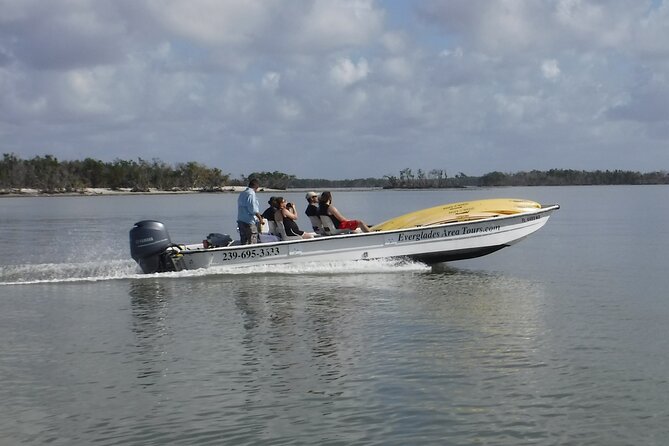 Small-Group Everglades Boating Kayaking and Walking Eco Tour - Price and value check: is $199.95 a fair deal?