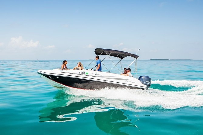 Snorkel & Millionaire Row - Private Miami Boat Tour w/ Drinks - Your day on the water: private, flexible, and built for the “bring your own” crowd