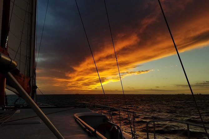 Sunset Sail in Miami: Complimentary Champagne Toast - Key things to know before you go