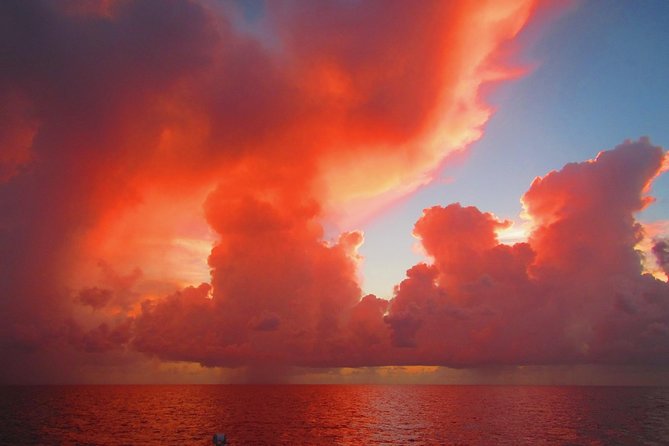 Sunset Sail in Miami: Complimentary Champagne Toast - Champagne toast and the cash bar: how drinks really work onboard