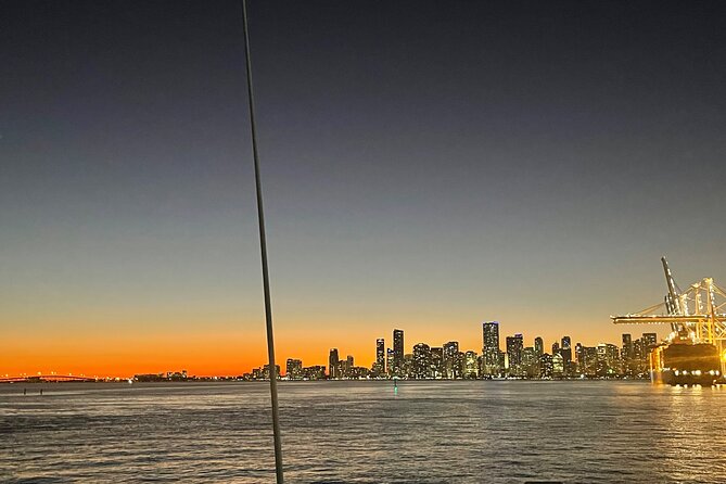 Top rated two Hour Miami Night Skyline Cruise with Open Bar - Star Island and Millionaire’s Row: The Celebrity-Home Moment