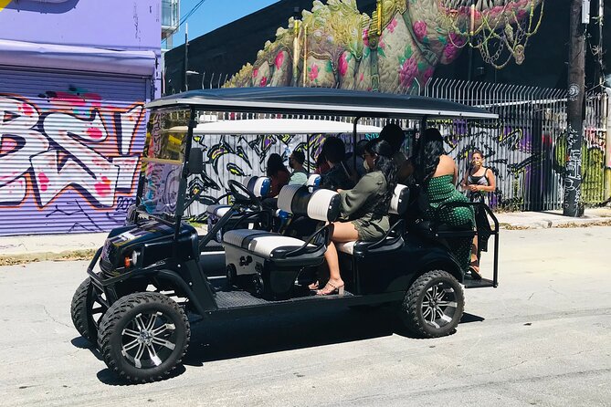 Wynwood Graffiti Golf Cart Small-Group Tour - Meeting point, small-group vibe, and what the carts are like