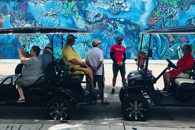Wynwood Graffiti Golf Cart Small-Group Tour - Museum of Graffiti: history indoors plus murals outside