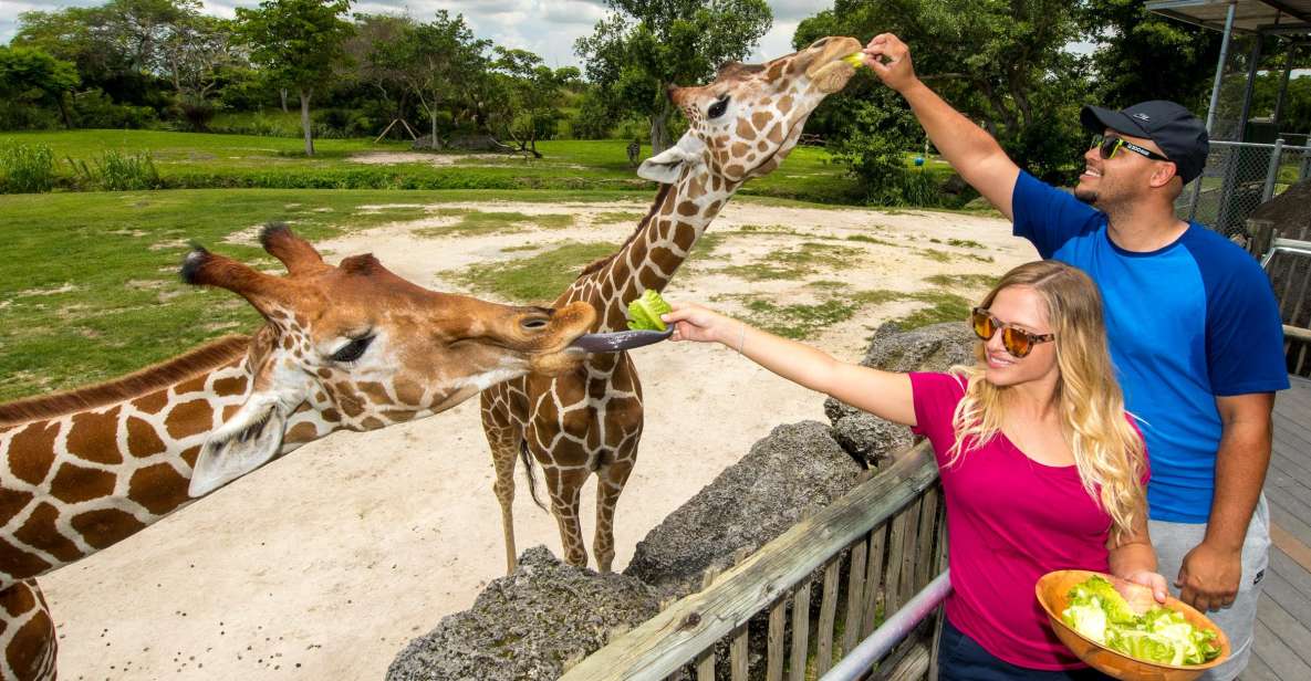 Zoo Miami: General Admission Ticket - Zoo Miami in One Day: A World Tour With Real Habitat Areas