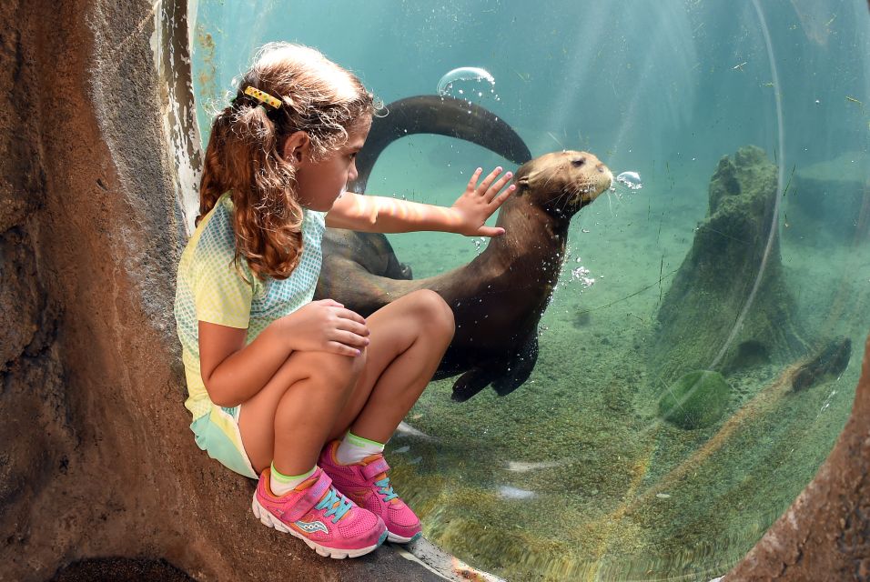 Zoo Miami: General Admission Ticket - Africa, Asia, and the Park’s Most Eye-Catching Exhibit Setups