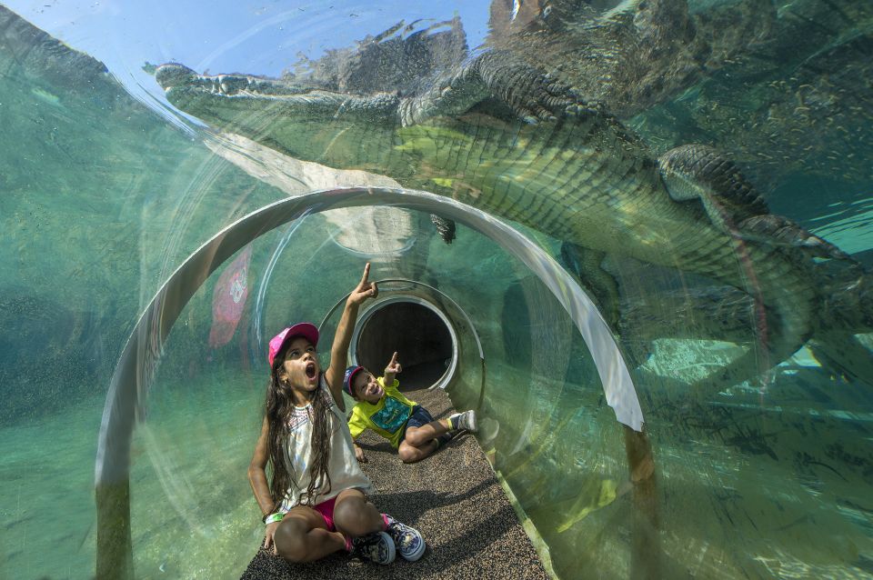 Zoo Miami: General Admission Ticket - Food, Drinks, and the Lunch Basket Upgrade That Actually Makes Sense