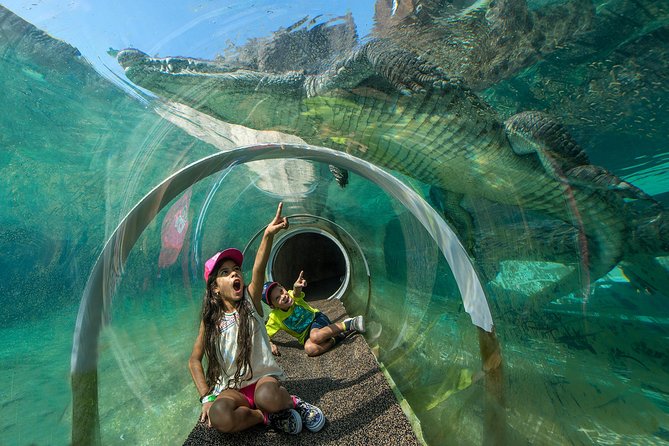 Zoo Miami Ticket with Optional Upgrade - Price and Value: What $27.77 Buys You (and What It Doesn’t)