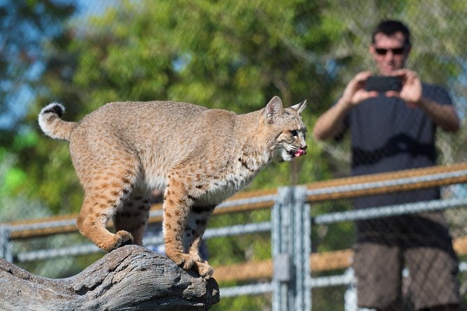 Zoo Miami Ticket with Optional Upgrade - The Wings of Asia Aviary: Your Best Return on Time