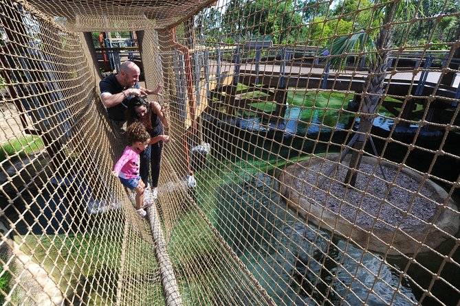 Zoo Miami Ticket with Optional Upgrade - Amazon and Beyond: Rainforest Energy Plus Snakes Behind Glass